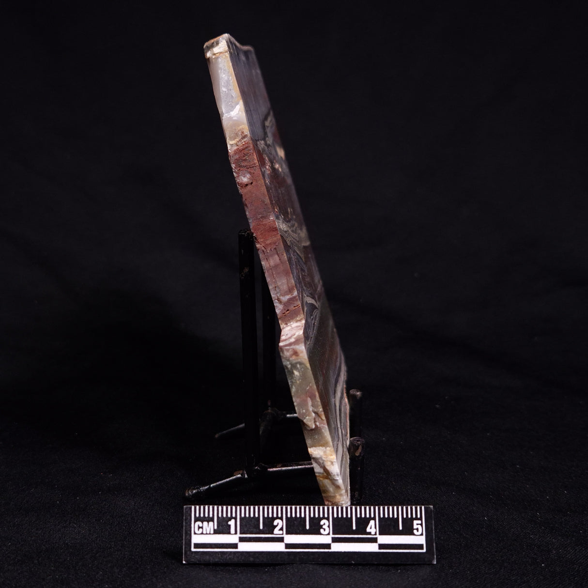 STROMATOLITE, Jerrinah Formation, Proterozoic, Australia ZJF092