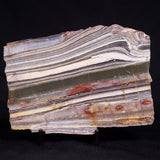 STROMATOLITE, Jerrinah Formation, Proterozoic, Australia ZJF093