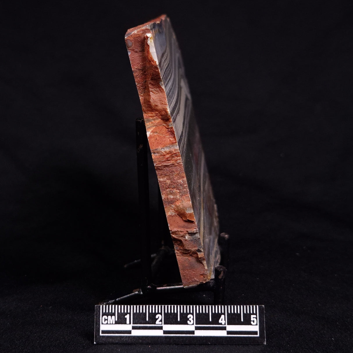 STROMATOLITE, Jerrinah Formation, Proterozoic, Australia ZJF093