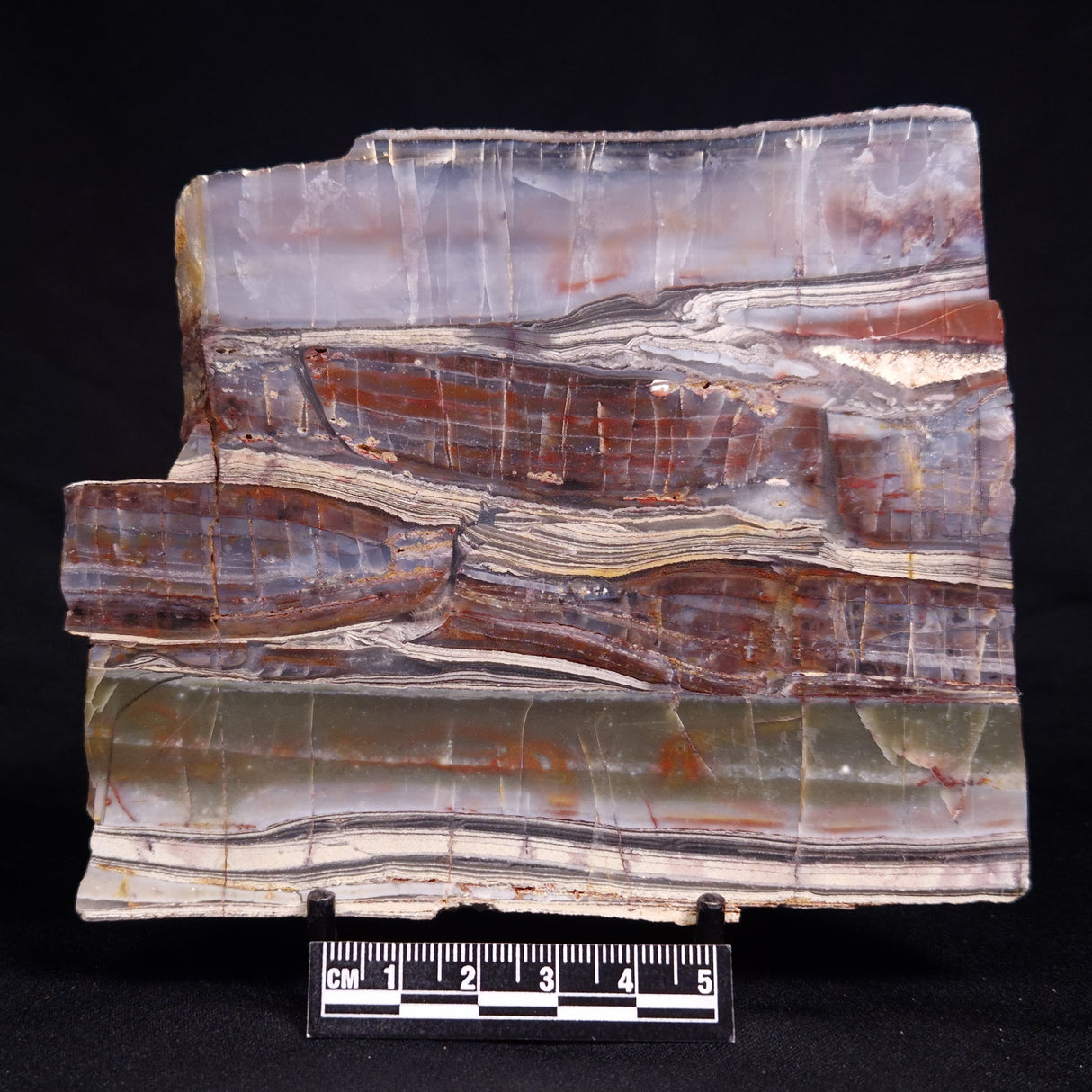 STROMATOLITE, Jerrinah Formation, Proterozoic, Australia ZJF094