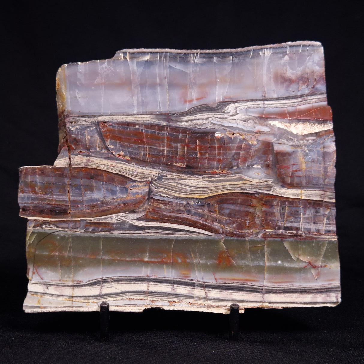 STROMATOLITE, Jerrinah Formation, Proterozoic, Australia ZJF094