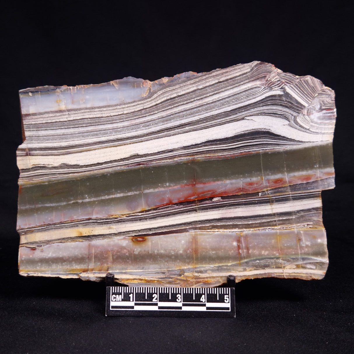 STROMATOLITE, Jerrinah Formation, Proterozoic, Australia ZJF095