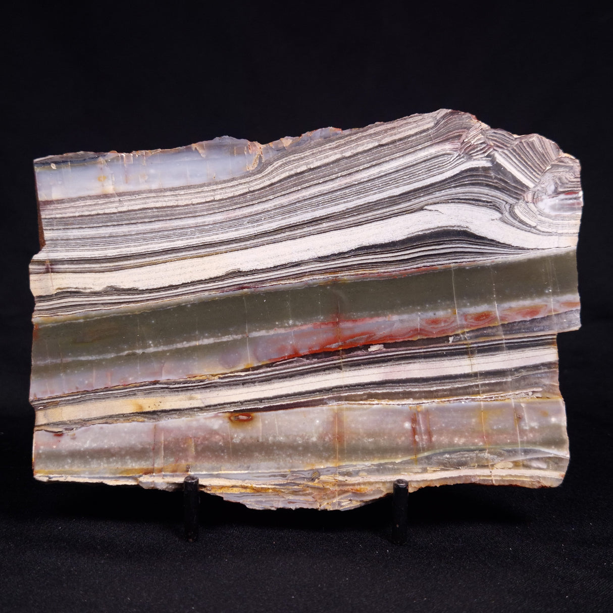 STROMATOLITE, Jerrinah Formation, Proterozoic, Australia ZJF095