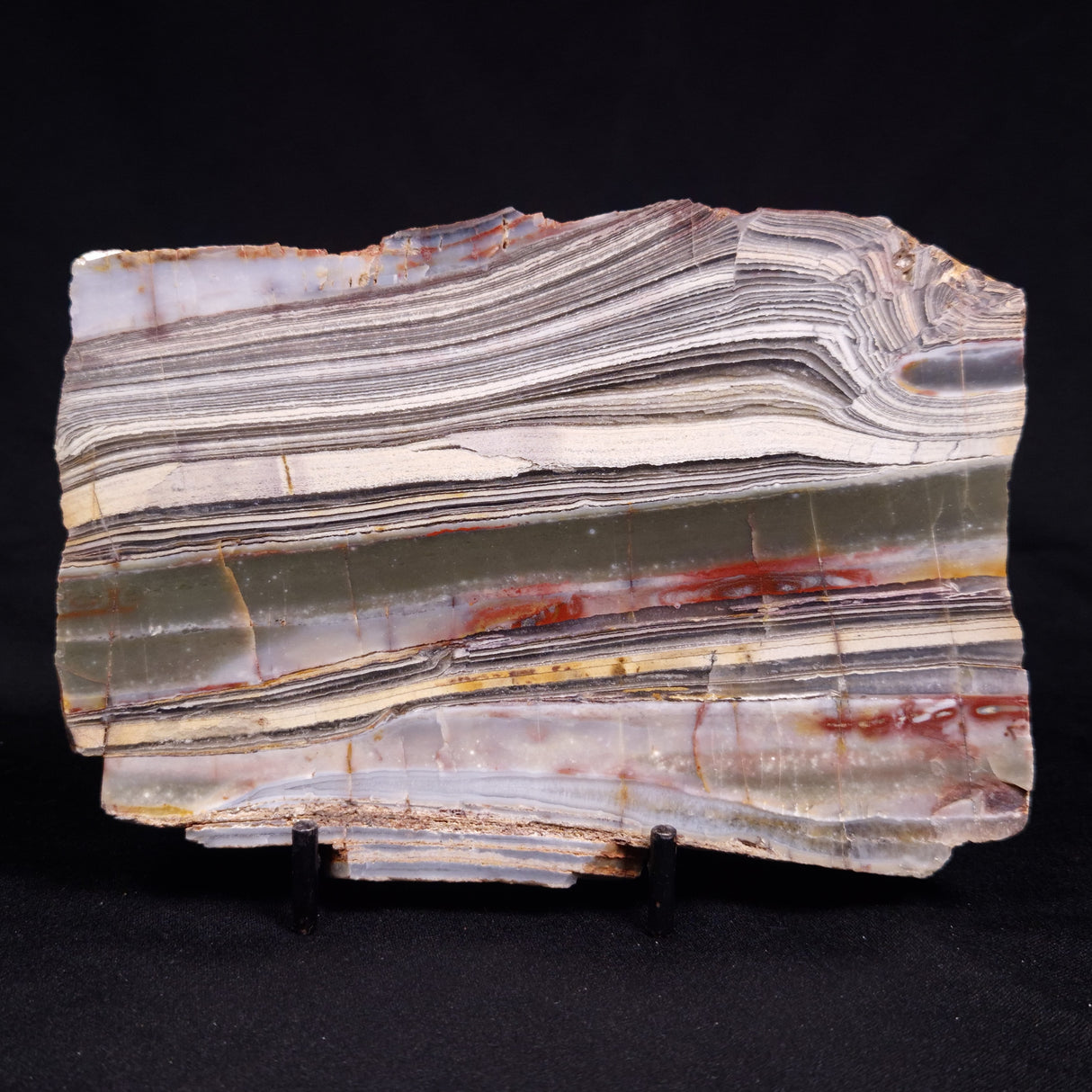 STROMATOLITE, Jerrinah Formation, Proterozoic, Australia ZJF096