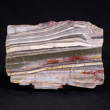 STROMATOLITE, Jerrinah Formation, Proterozoic, Australia ZJF096
