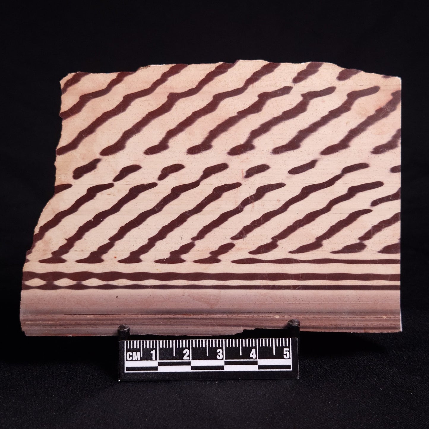 ZEBRA STONE, Australia ZZS008