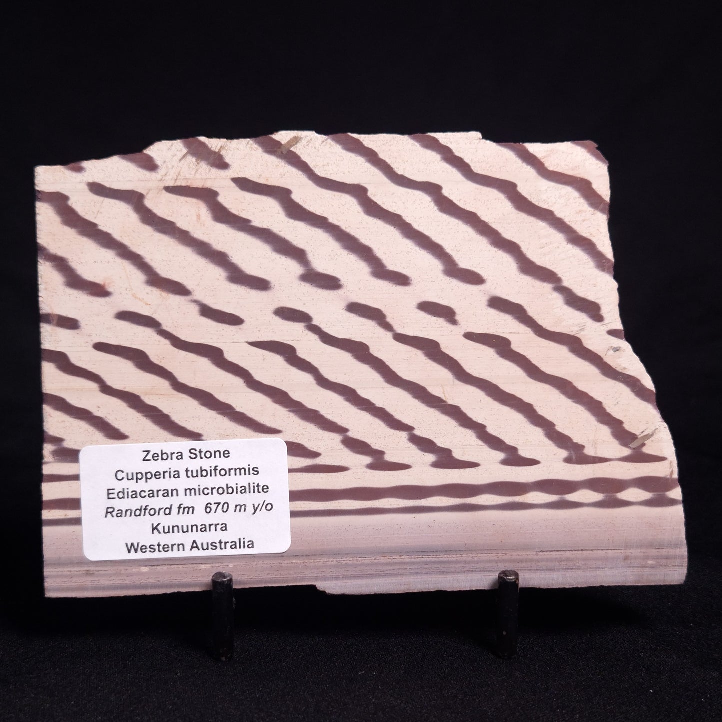 ZEBRA STONE, Australia ZZS008