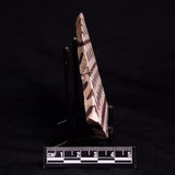 ZEBRA STONE, Australia ZZS013