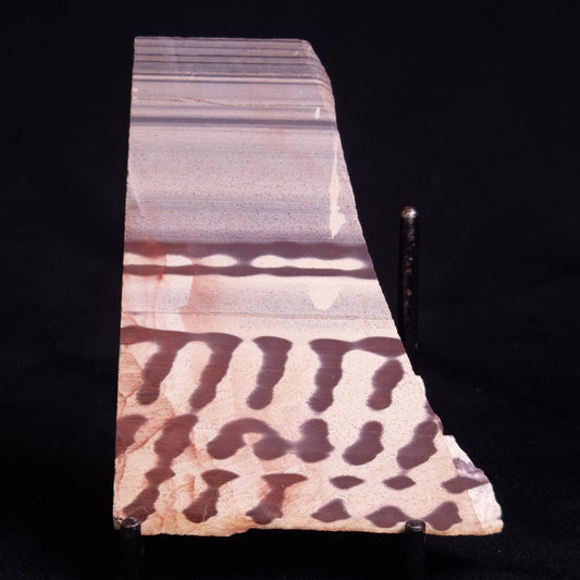 ZEBRA STONE, Australia ZZS015