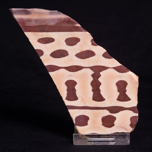 ZEBRA STONE, Australia ZZS016