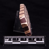 ZEBRA STONE, Australia ZZS017