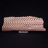 ZEBRA STONE, Australia ZZS018