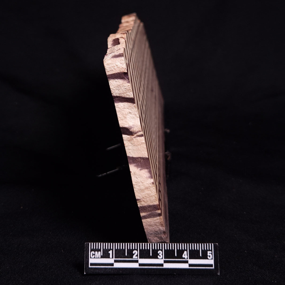 ZEBRA STONE, Australia ZZS018