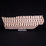 ZEBRA STONE, Australia ZZS019