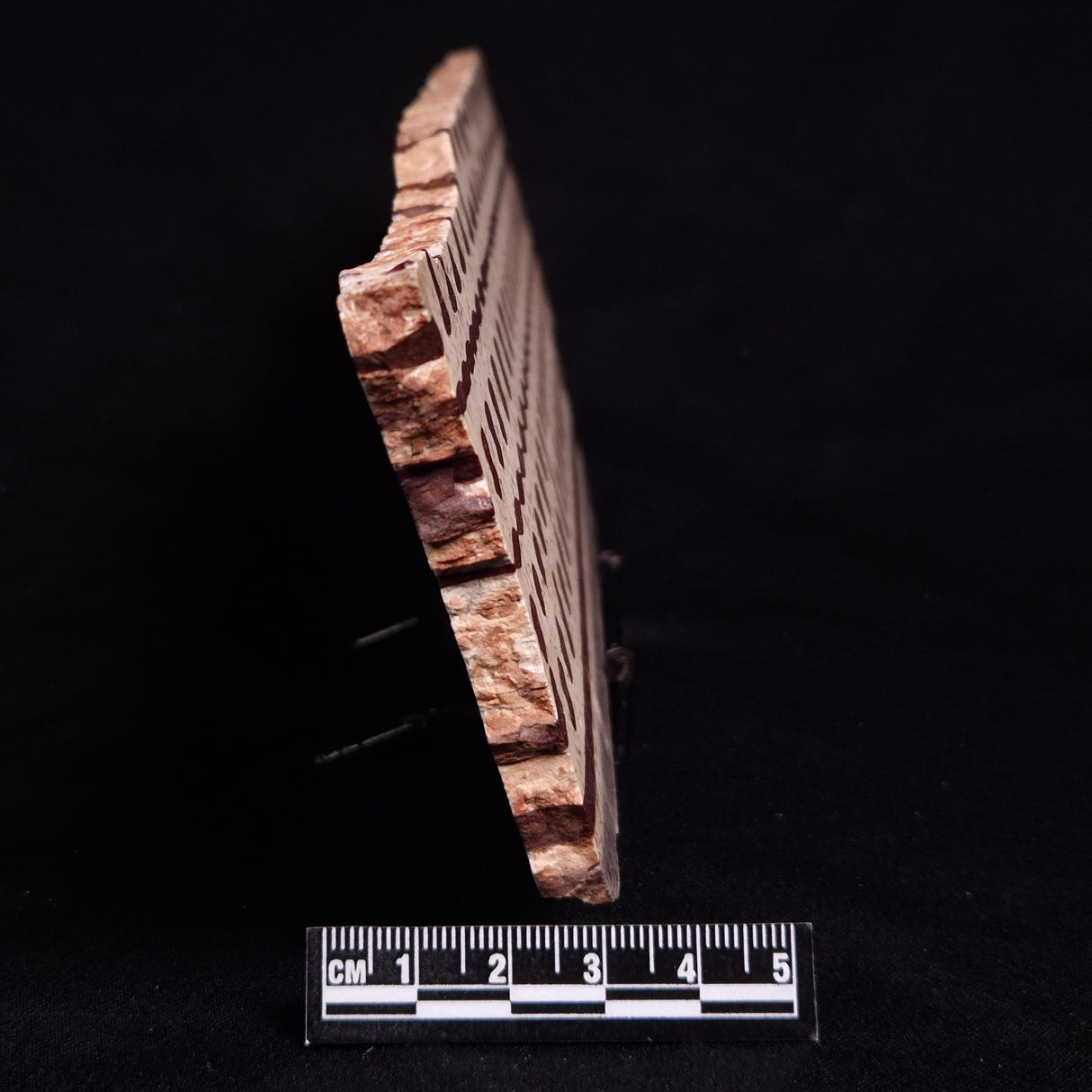 ZEBRA STONE, Australia ZZS019