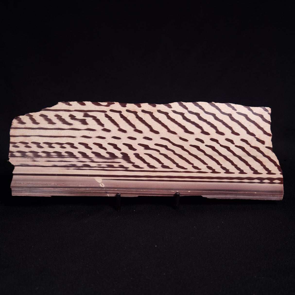 ZEBRA STONE, Australia ZZS020