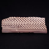 ZEBRA STONE, Australia ZZS020