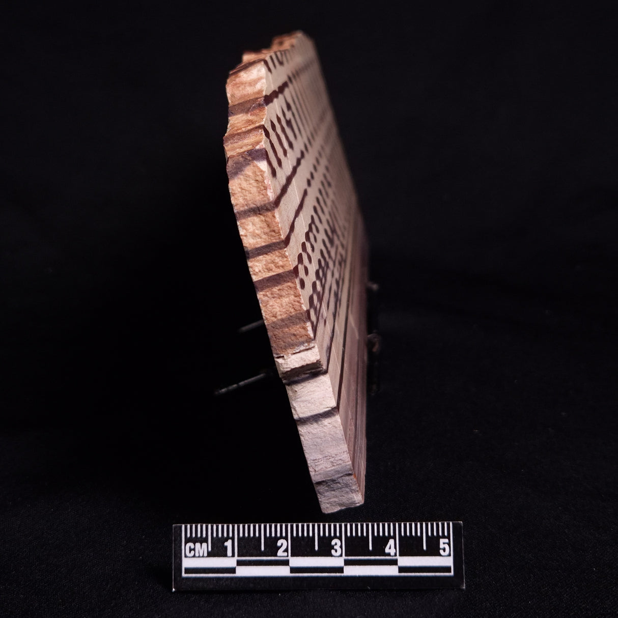 ZEBRA STONE, Australia ZZS020