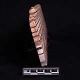 ZEBRA STONE, Australia ZZS020