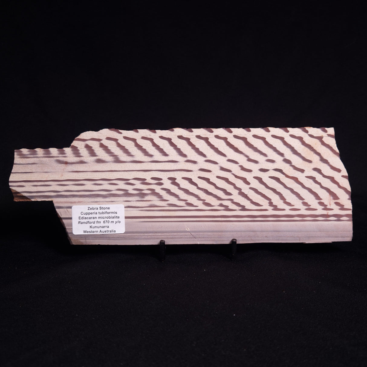 ZEBRA STONE, Australia ZZS021