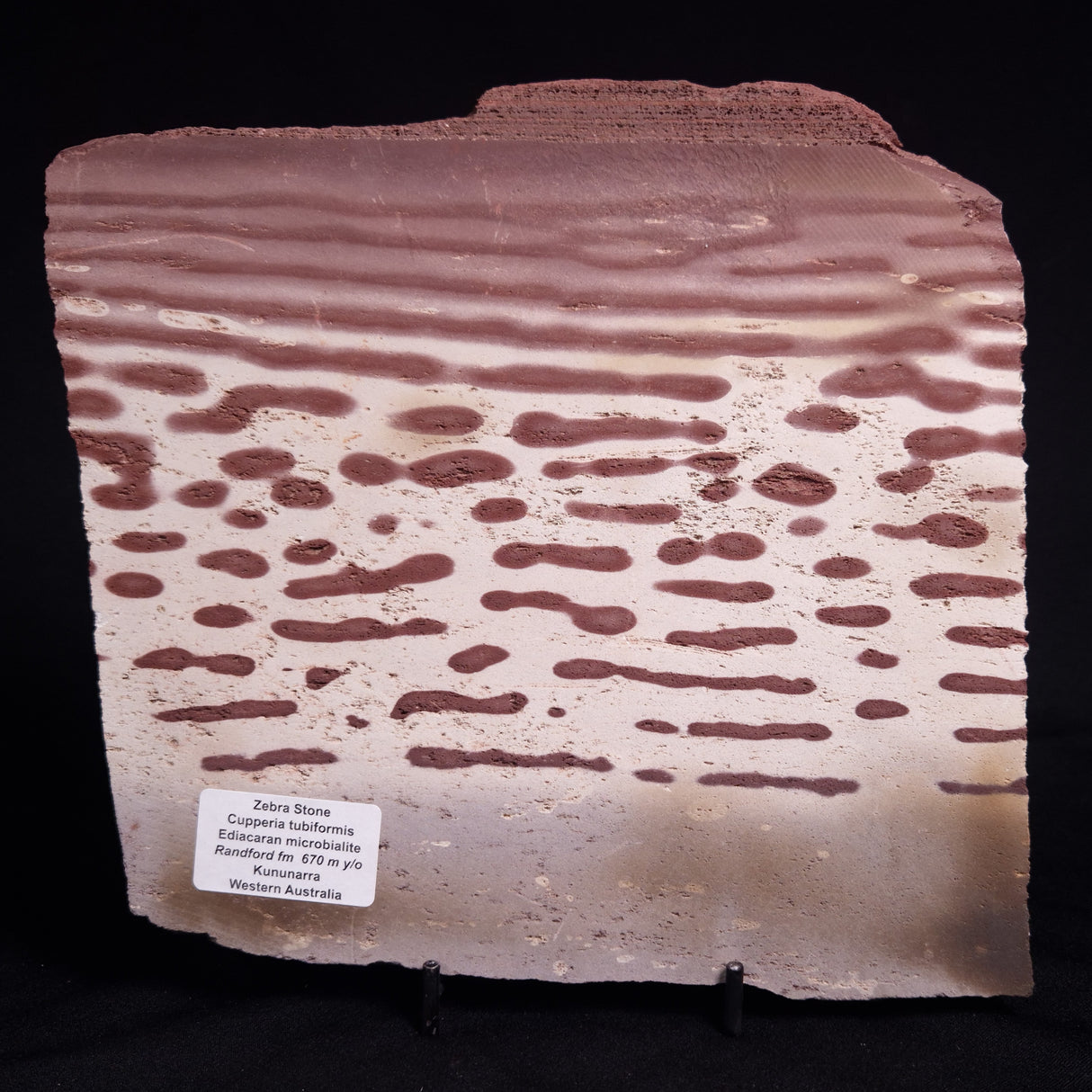 ZEBRA STONE, Australia ZZS022