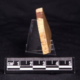 TUNGUSSIA INNA STROMATOLITE, Late Precambrian, Australia ZTG013