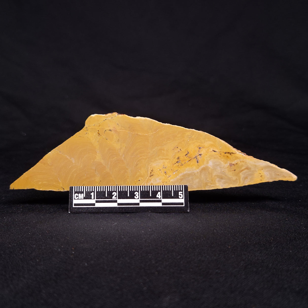 TUNGUSSIA INNA STROMATOLITE, Late Precambrian, Australia ZTG014