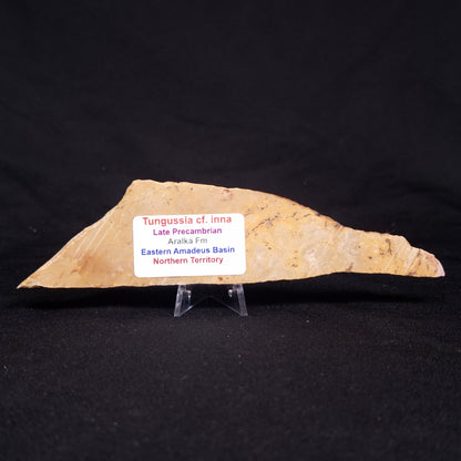 TUNGUSSIA INNA STROMATOLITE, Late Precambrian, Australia ZTG016