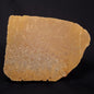 TUNGUSSIA INNA STROMATOLITE, Late Precambrian, Australia ZTG019