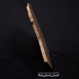 TUNGUSSIA INNA STROMATOLITE, Late Precambrian, Australia ZTG021