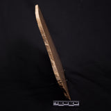 TUNGUSSIA INNA STROMATOLITE, Late Precambrian, Australia ZTG022