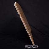 TUNGUSSIA INNA STROMATOLITE, Late Precambrian, Australia ZTG023