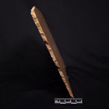 TUNGUSSIA INNA STROMATOLITE, Late Precambrian, Australia ZTG026