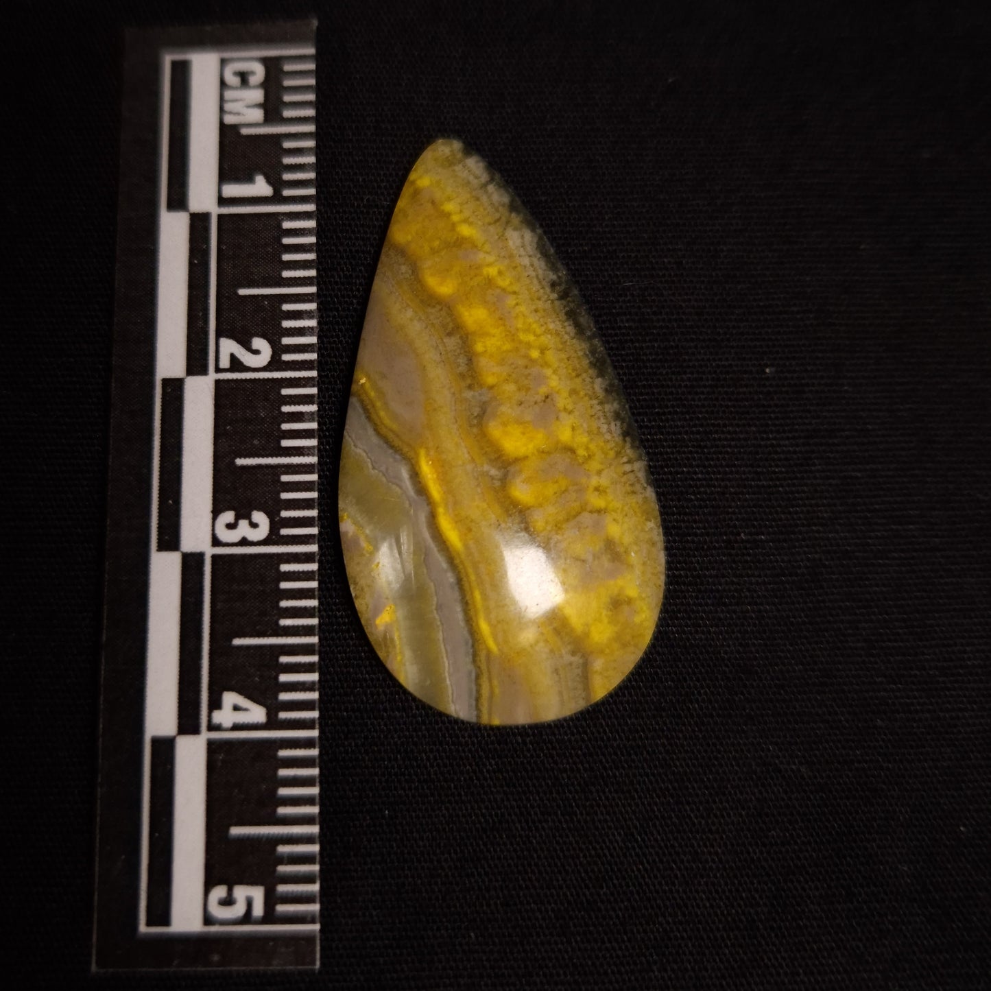 BUMBLEBEE JASPER CABOCHON 3SSBJC1