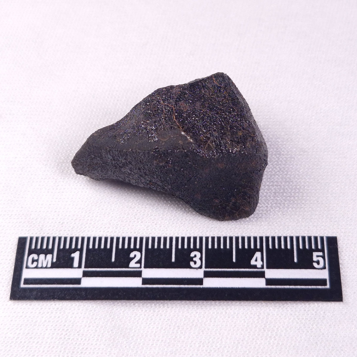 METEORITE CAMEL DONGA, Australia YCD001