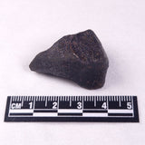METEORITE CAMEL DONGA, Australia YCD001