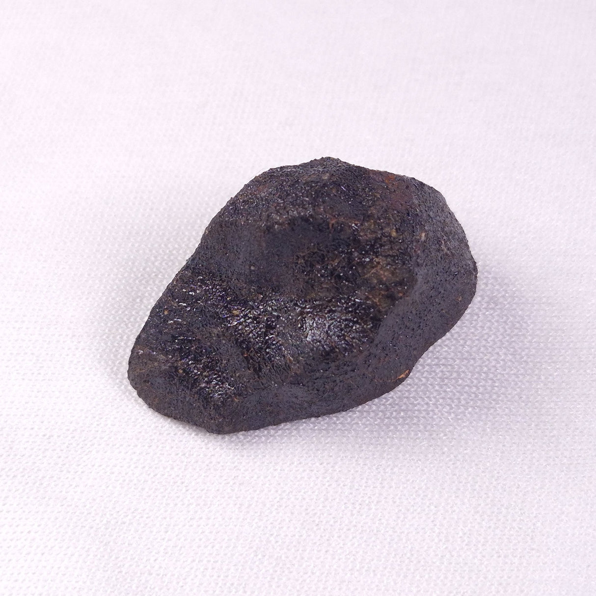 METEORITE CAMEL DONGA, Australia YCD001
