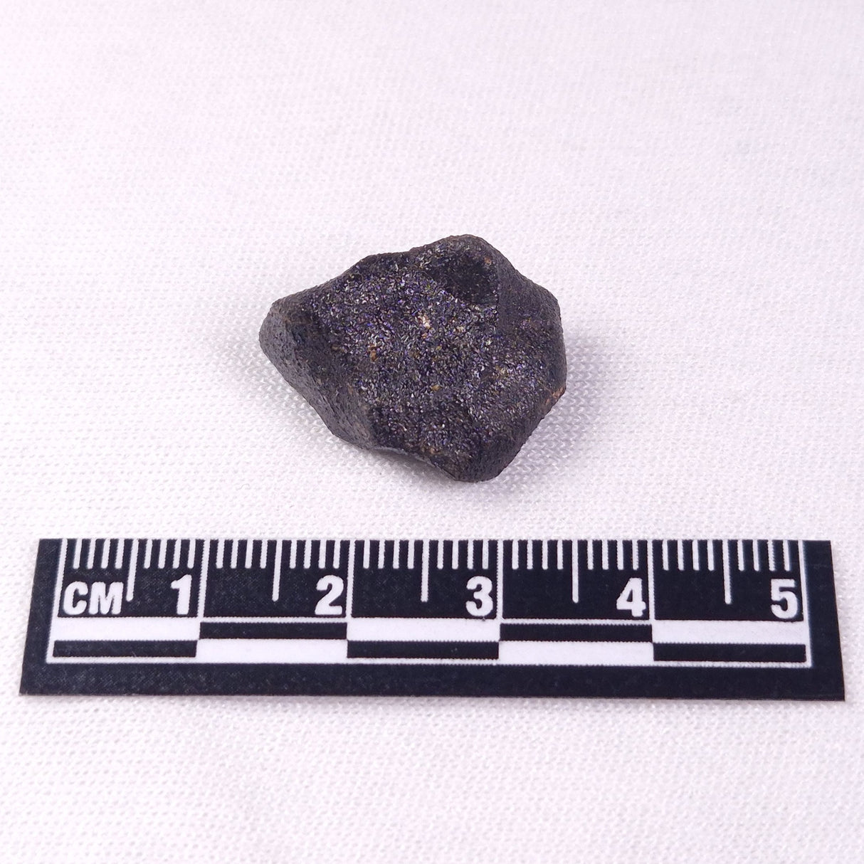 METEORITE CAMEL DONGA, Australia YCD002
