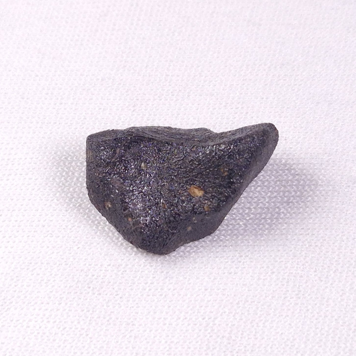 METEORITE CAMEL DONGA, Australia YCD002