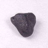 METEORITE CAMEL DONGA, Australia YCD003