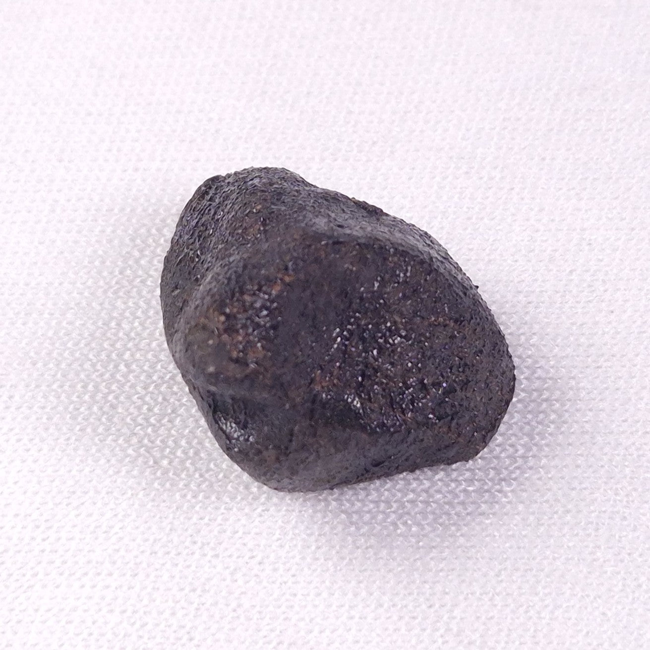 METEORITE CAMEL DONGA, Australia YCD003