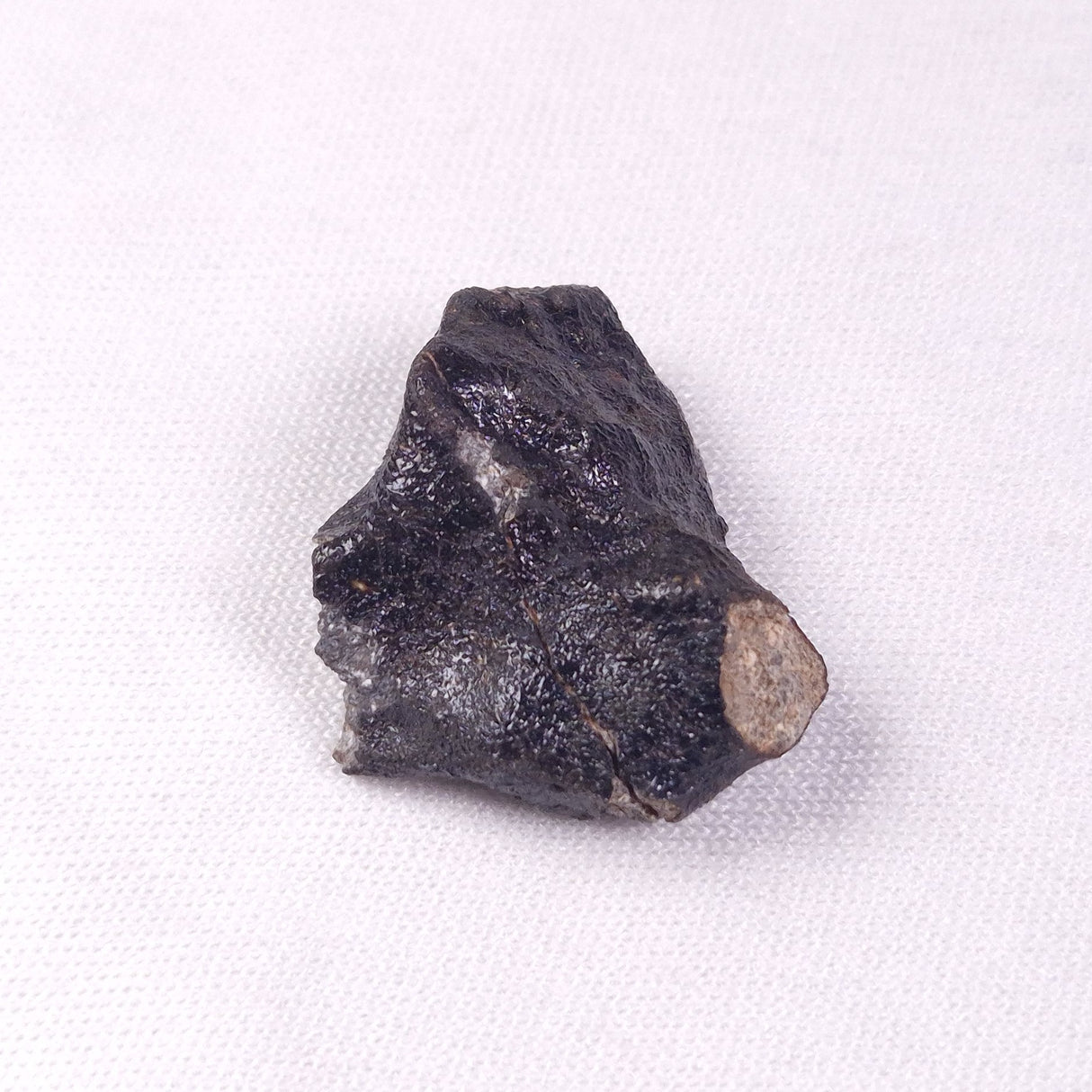 METEORITE CAMEL DONGA, Australia YCD005