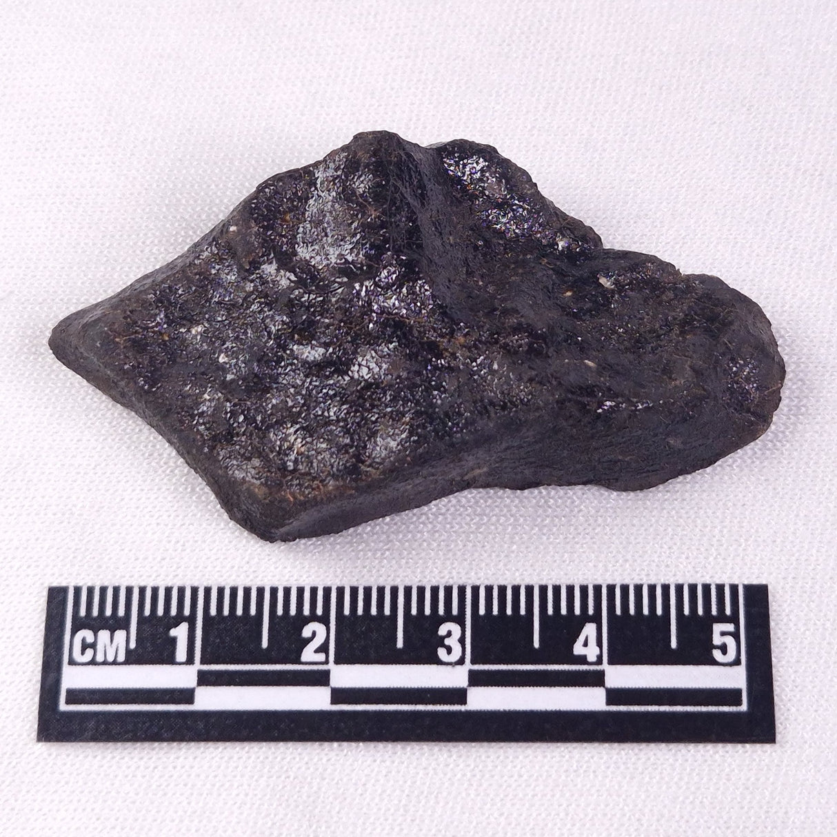 METEORITE CAMEL DONGA, Australia YCD007