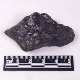 METEORITE CAMEL DONGA, Australia YCD007