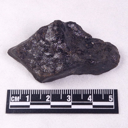 METEORITE CAMEL DONGA, Australia YCD007