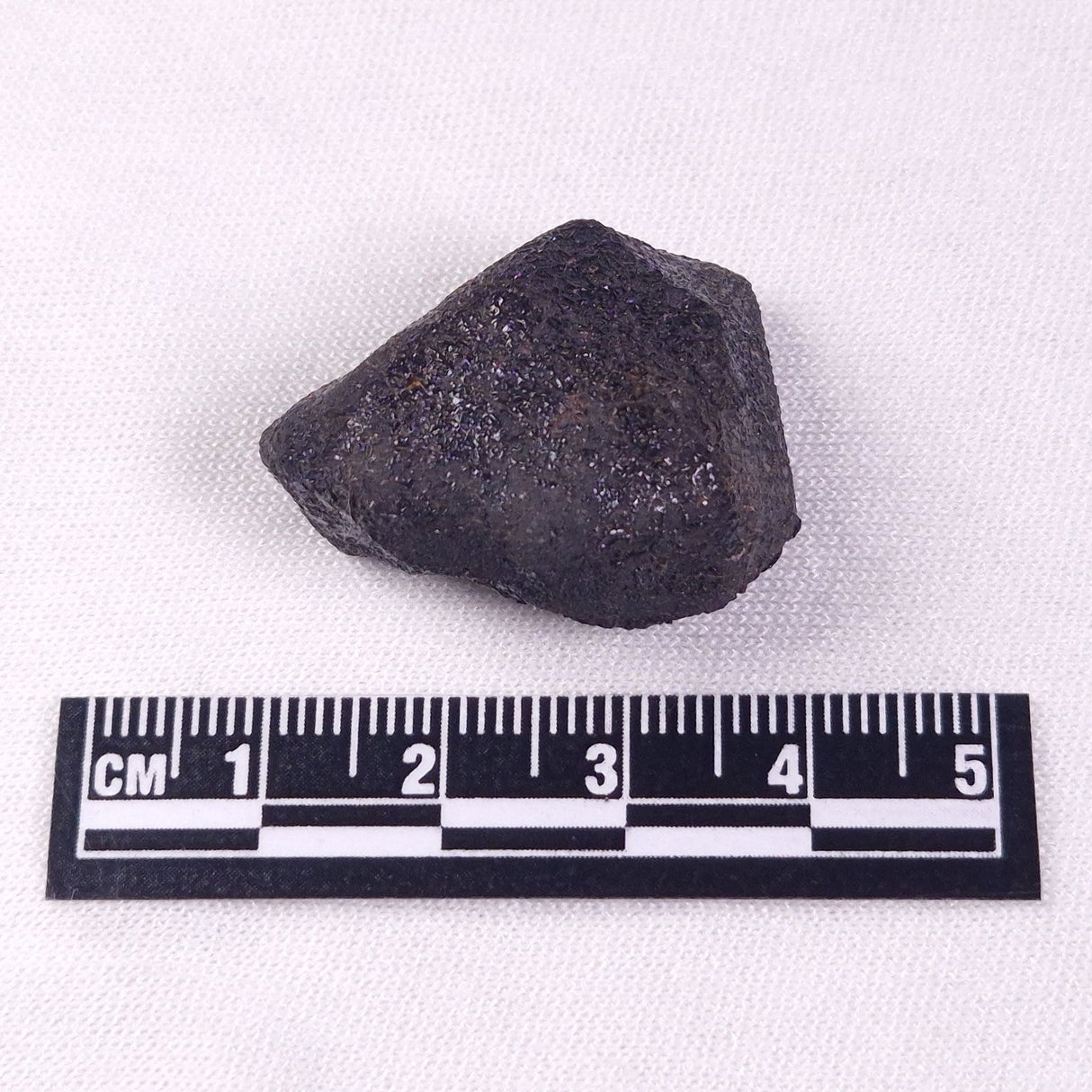 METEORITE CAMEL DONGA, Australia YCD008