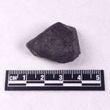 METEORITE CAMEL DONGA, Australia YCD008
