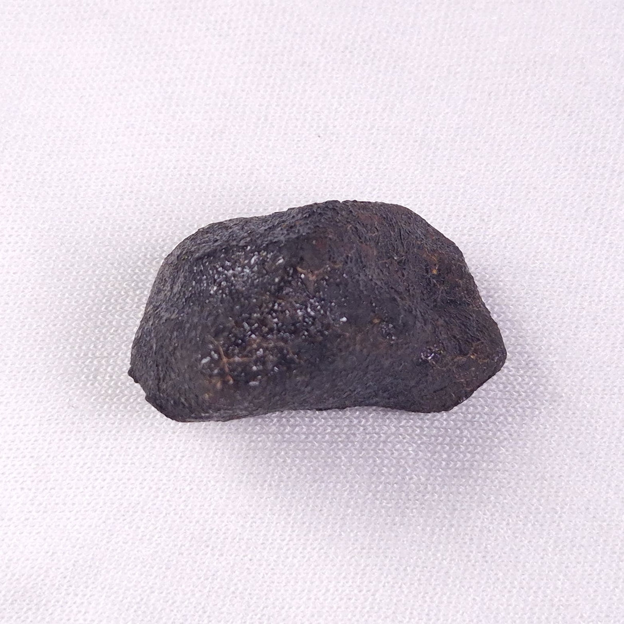 METEORITE CAMEL DONGA, Australia YCD008