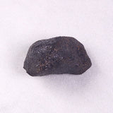 METEORITE CAMEL DONGA, Australia YCD008