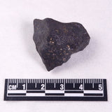 METEORITE CAMEL DONGA, Australia YCD009